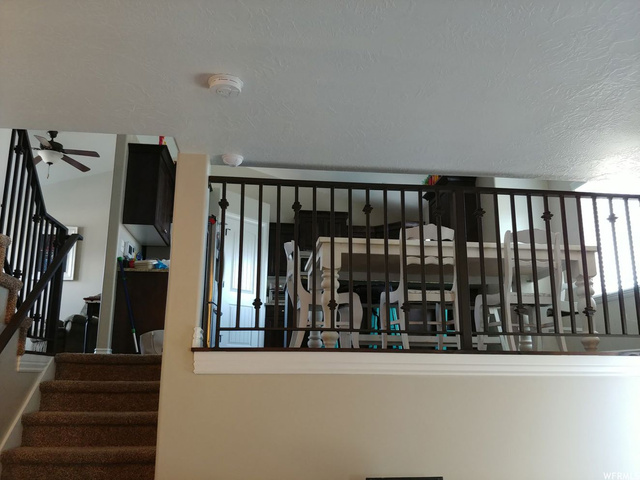 915 W Willowbrook Ln, Pleasant View, UT 84404 — photo 5