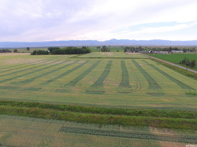 5256 Dingle Road, Dingle, ID 83233 — photo 4