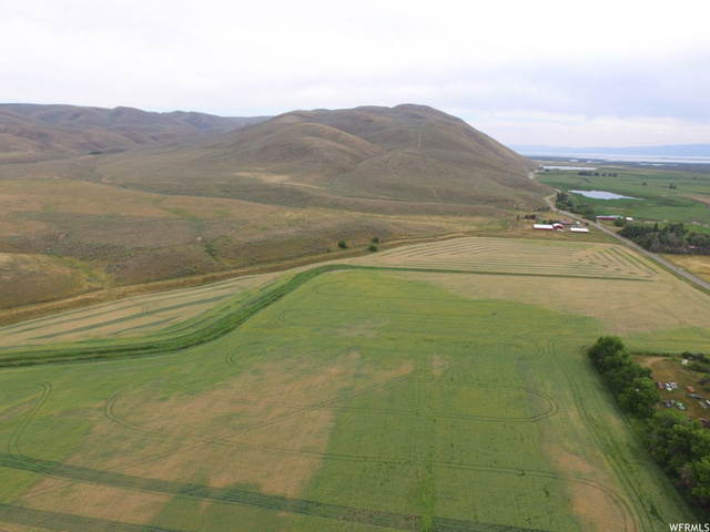 5256 Dingle Road, Dingle, ID 83233 — photo 5
