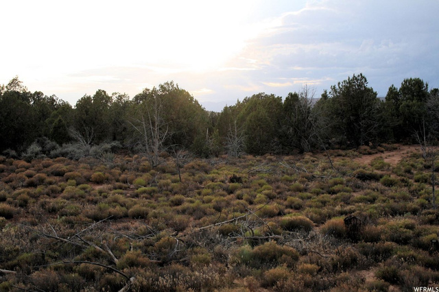 Virgin, UT 84779 — photo 7