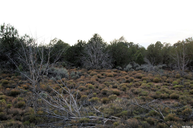 Virgin, UT 84779 — photo 6