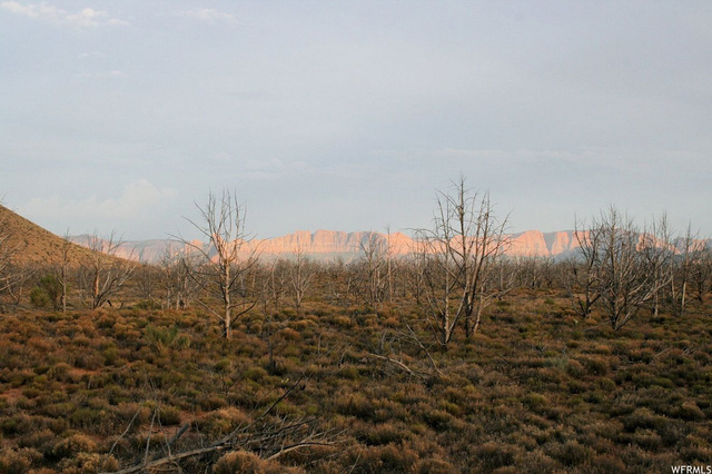 Virgin, UT 84779 — photo 4