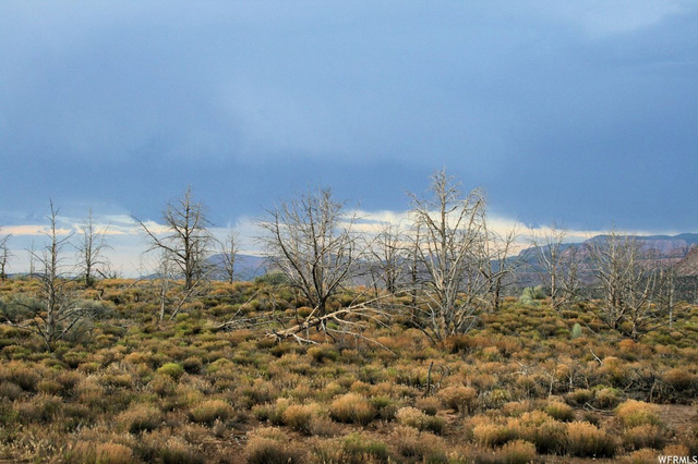 Virgin, UT 84779 — photo 3