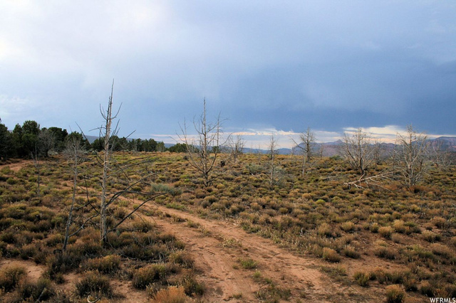 Virgin, UT 84779 — photo 8
