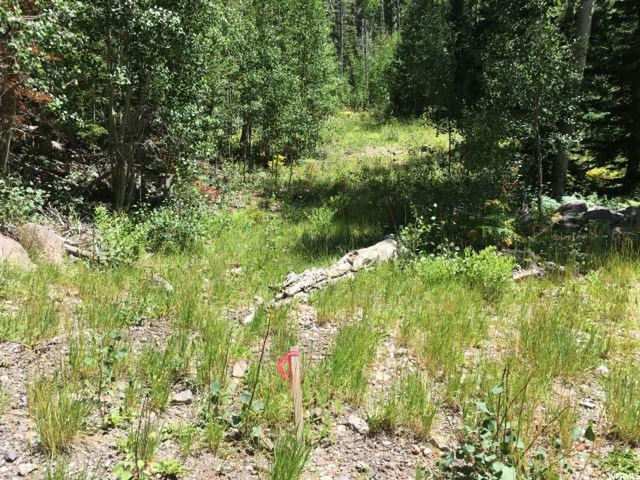268 E Deer Trl #150, Brian Head, UT 84719 — photo 3