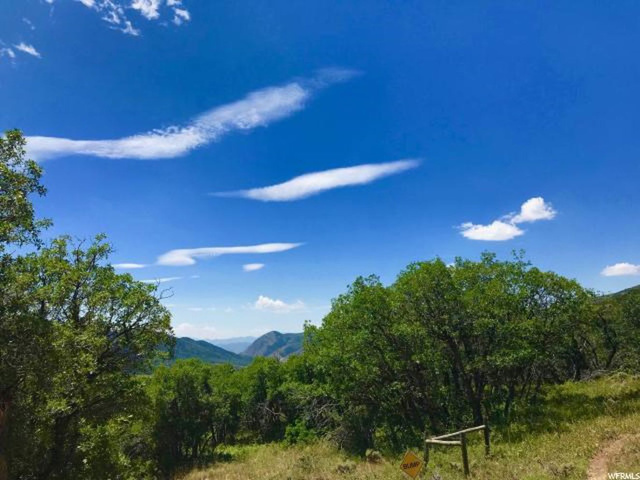 16 Jackson Cir #16, Oakley, UT 84055 — photo 4