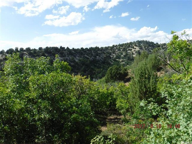 13085 E Juniper N #M-92, Fairview, UT 84629 — photo 2