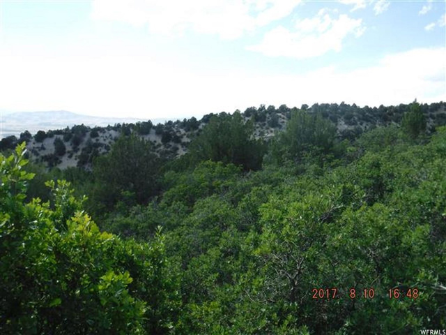 13085 E Juniper N #M-92, Fairview, UT 84629 — photo 5