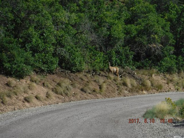 13085 E Juniper N #M-92, Fairview, UT 84629 — photo 3