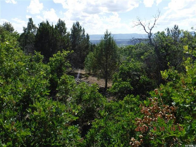 12930 E Cedar Rdg N #C-76, Fairview, UT 84629 — photo 4