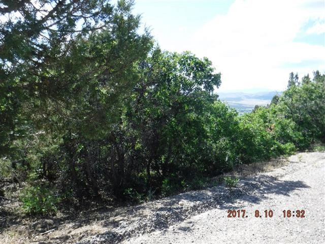 12930 E Cedar Rdg N #C-76, Fairview, UT 84629 — photo 5