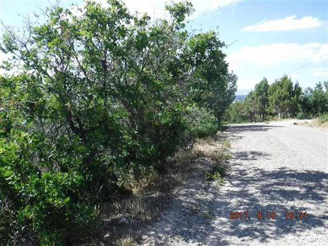 12930 E Cedar Rdg N #C-76, Fairview, UT 84629 — photo 2