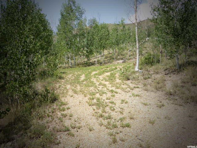 Pete`s Rd, Scofield, UT 84526 — photo 3