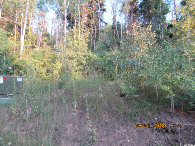 13910 E Juniper Dr #M-50, Fairview, UT 84629 — photo 2