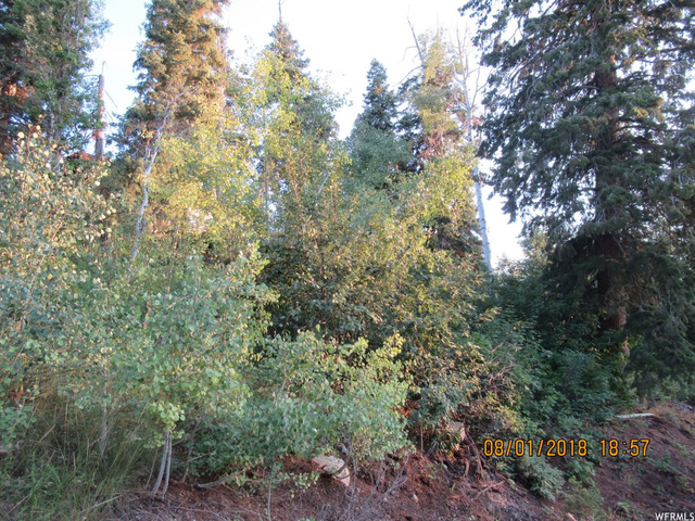 13910 E Juniper Dr #M-50, Fairview, UT 84629 — photo 3