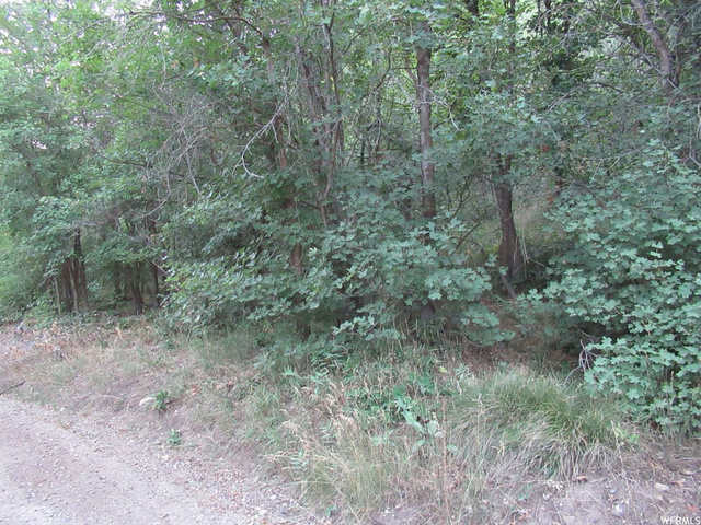 14845 E Upper Birch Dr #L-47, Fairview, UT 84629 — photo 5