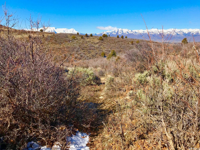 7269 E Oakview Dr #1471, Heber City, UT 84032 — photo 11
