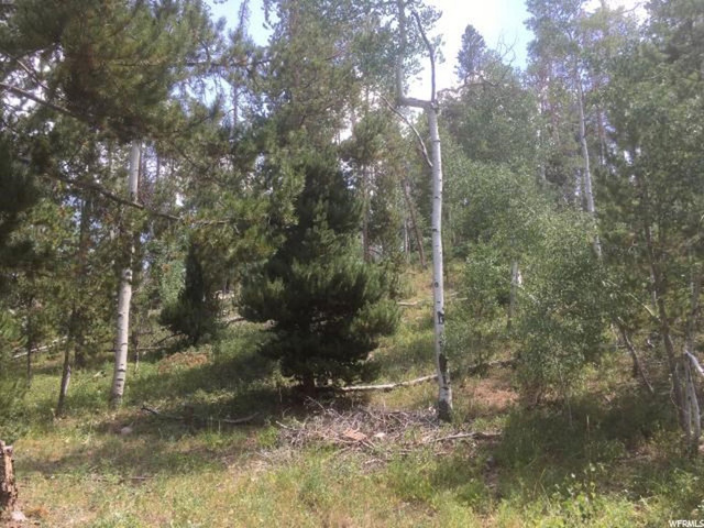 5793 Pine View Rd #915, Kamas, UT 84036 — photo 3