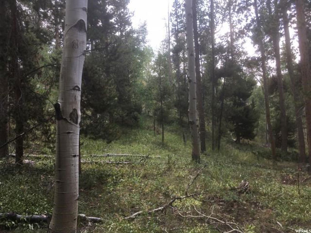 5793 Pine View Rd #915, Kamas, UT 84036 — photo 2