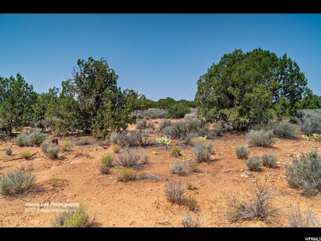 Apache Cir #36, Springdale, UT 84767 — photo 11