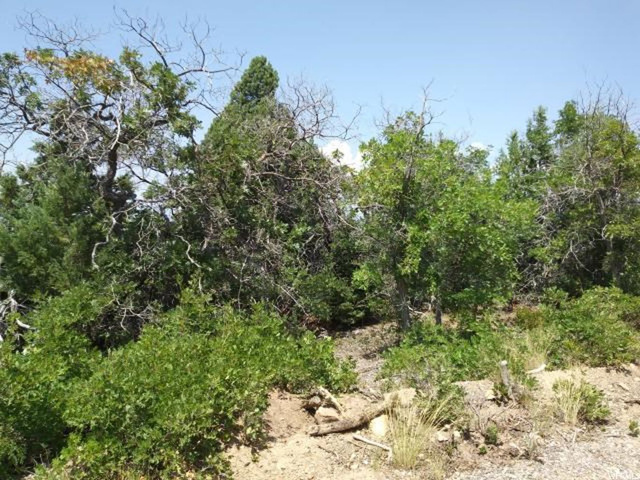 #146, Spring City, UT 84662 — photo 5