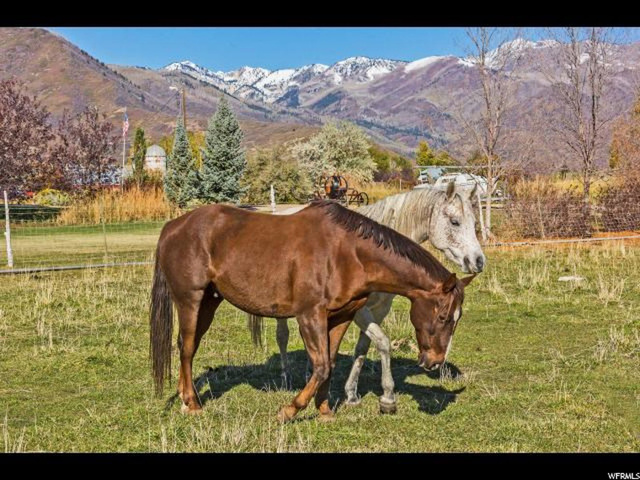 161 N 200 E, Midway, UT 84049 — photo 2