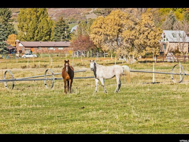161 N 200 E, Midway, UT 84049 — photo 8