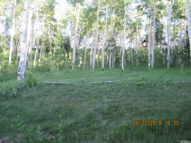 45 Meadow Dr #45, Fairview, UT 84629 — photo 9