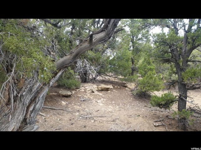 #563,, Fruitland, UT 84027 — photo 4