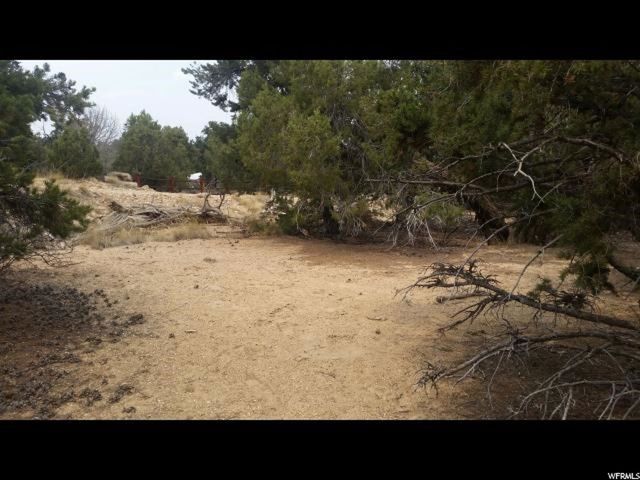 #563,, Fruitland, UT 84027 — photo 3