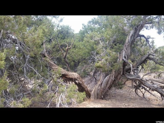 #563,, Fruitland, UT 84027 — photo 2