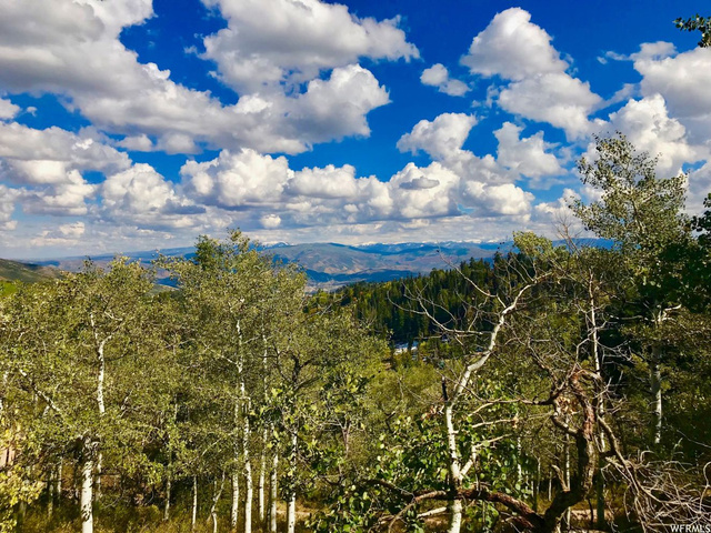 2146 Pine Loop Rd #F-43, Wanship, UT 84017 — photo 4