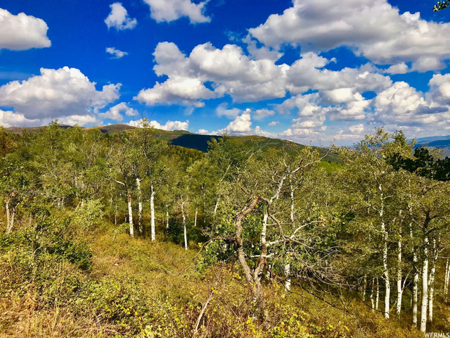 2146 Pine Loop Rd #F-43, Wanship, UT 84017 — photo 12