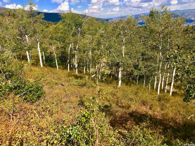 2146 Pine Loop Rd #F-43, Wanship, UT 84017 — photo 10
