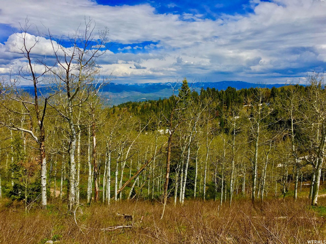 2146 Pine Loop Rd #F-43, Wanship, UT 84017 — photo 7