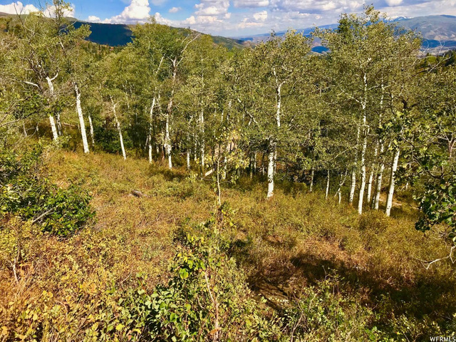 2146 Pine Loop Rd #F-43, Wanship, UT 84017 — photo 9