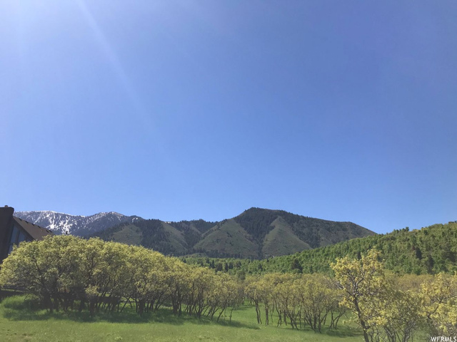 537 E Oak Ln #4, Elk Ridge, UT 84651 — photo 4