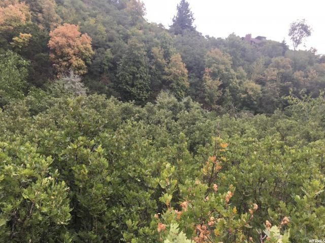 2563 E 2250 N #194, Layton, UT 84040 — photo 4