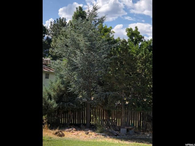 280 E Canyon Rd, Fillmore, UT 84631 — photo 7