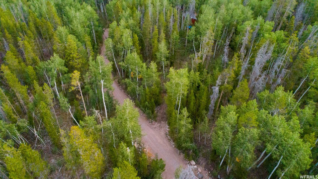4691 Bear Ln, Kamas, UT 84036 — photo 3