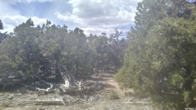 #205, Fruitland, UT 84027 — photo 5