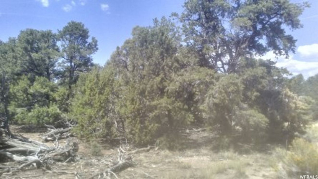 #205, Fruitland, UT 84027 — photo 8