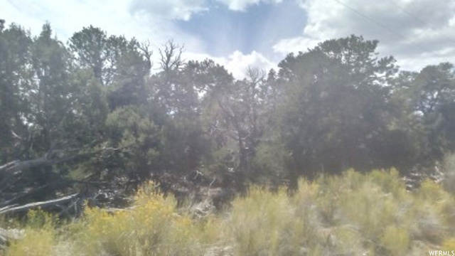 #205, Fruitland, UT 84027 — photo 7