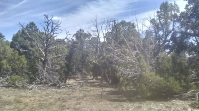 #205, Fruitland, UT 84027 — photo 4
