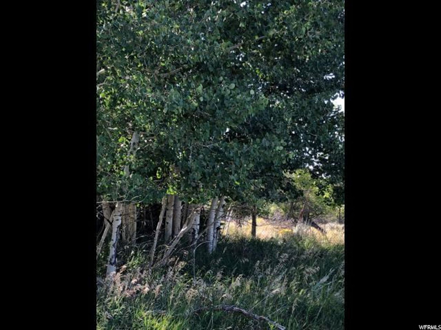 Pine Valley, UT 84781 — photo 9