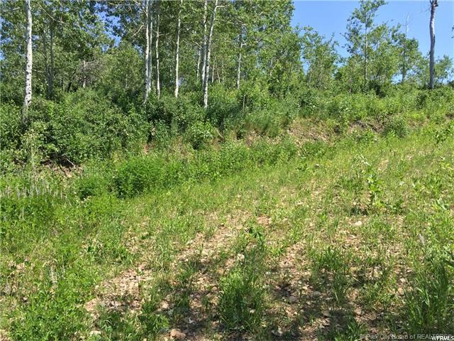 595 Porcupine Loop, Wanship, UT 84017 — photo 5