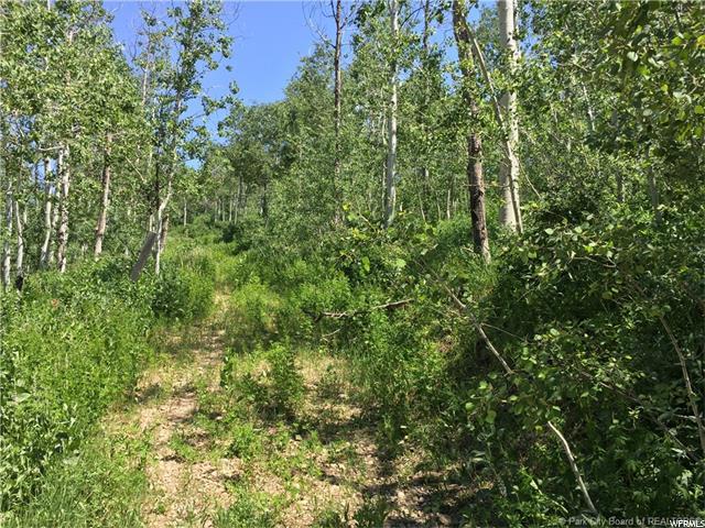595 Porcupine Loop, Wanship, UT 84017 — photo 2