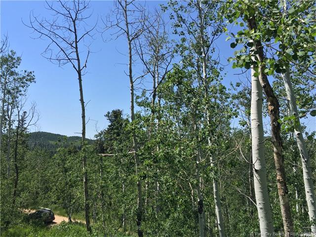 595 Porcupine Loop, Wanship, UT 84017 — photo 3