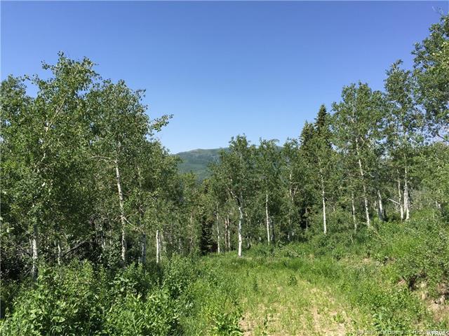 595 Porcupine Loop, Wanship, UT 84017 — photo 6