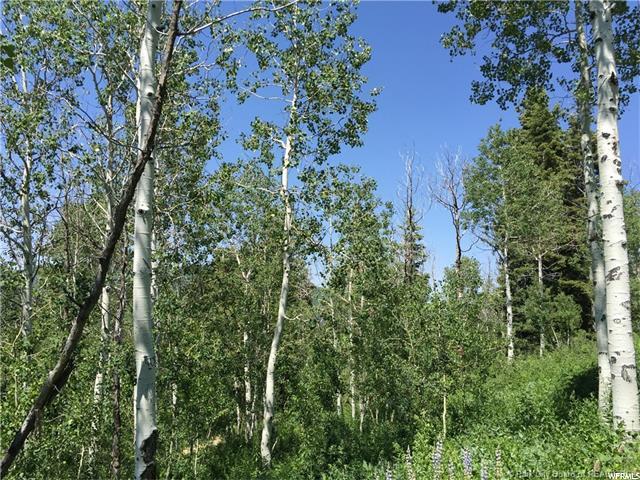 595 Porcupine Loop, Wanship, UT 84017 — photo 4